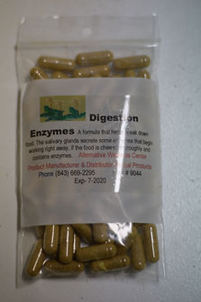 Digestion Enzymes