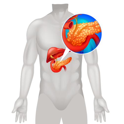 Chronic Condition Protocols