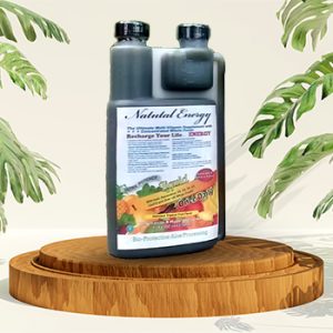 Life Vitality Energy Drink 60